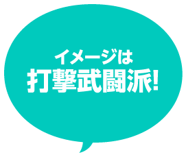 イメージは打撃武闘派！